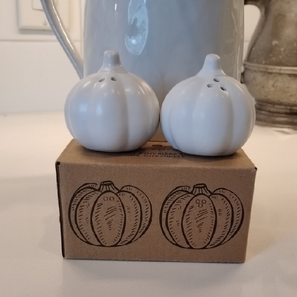 White Pumpkin Salt and Pepper Shaker Set